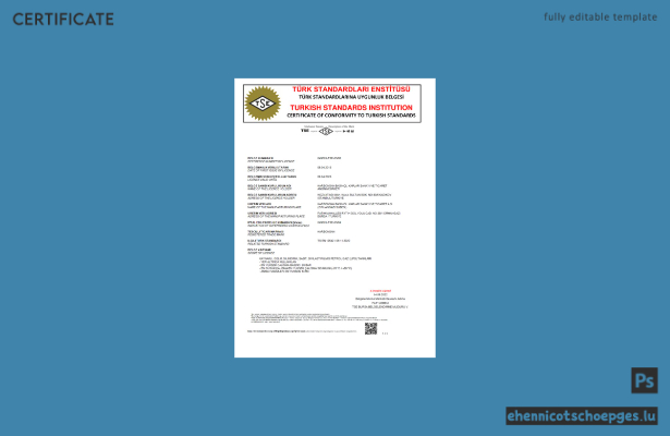 Türkisches Normungsinstitut – Konformitätsbescheinigung nach türkischen Normen (Word- und PDF-Beispielvorschau)